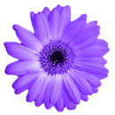 Artweaver